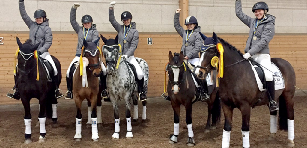 Vetlandaortens Ryttarförening